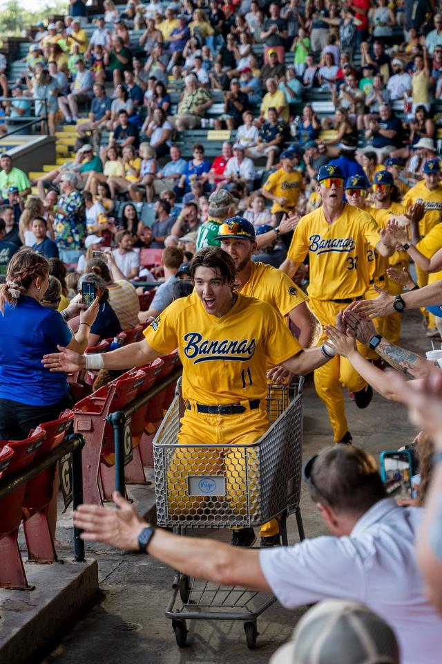 Savannah Bananas descend on San Jose for wild night of baseball