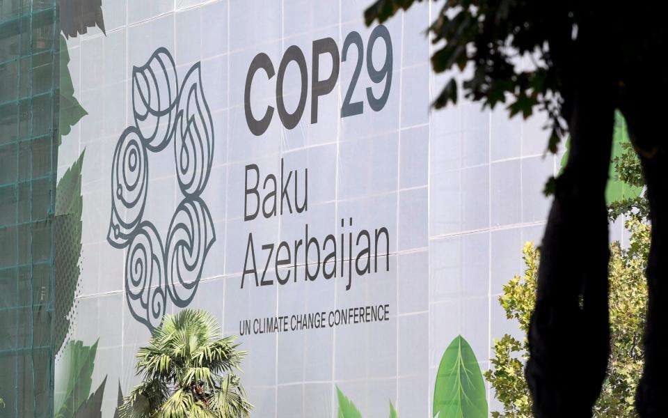 Cop29