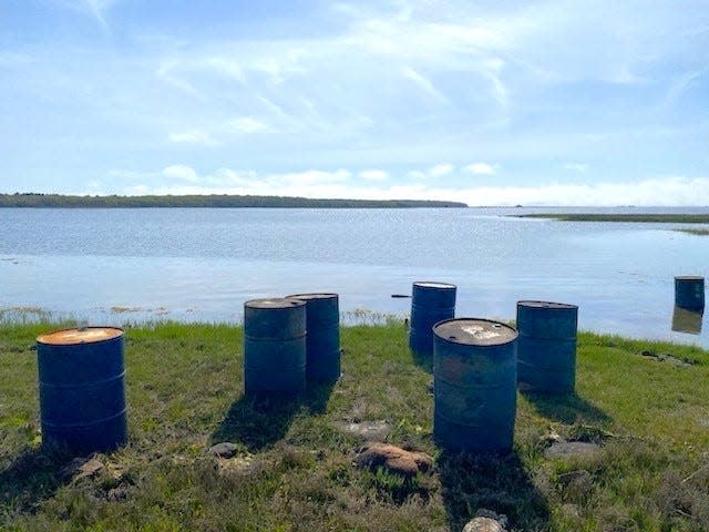 Some of the oil drums removed from Little Bay in Fairhaven on Tuesday are seen in this photo provided by the U.S. Coast Guard.