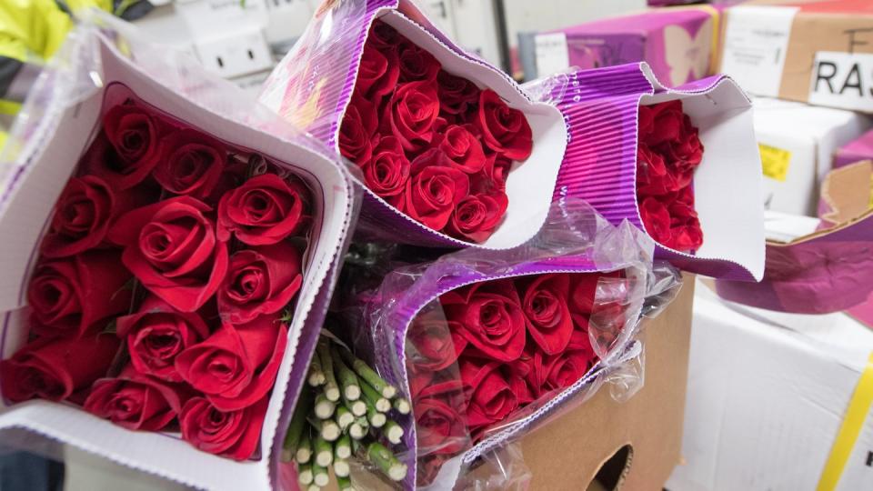 Der Valentinstag wird dem deutschen Einzelhandel voraussichtlich rund eine Milliarde Euro an zusätzlichen Umsätzen bringen.