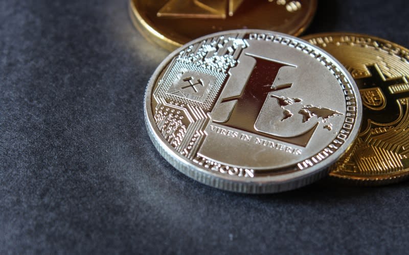 Litecoin price is making gains against the tide on Wednesday's trading. | Source: Shutterstock