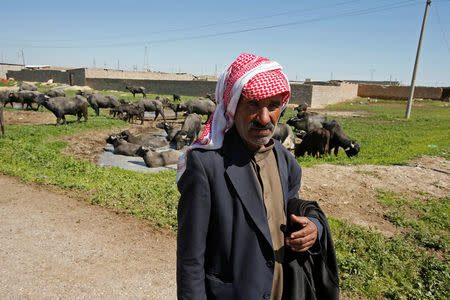 Displaced Iraqi farmers from Badush northwest of Mosul flee their village but come back to retrieve their buffalos as the battle against Islamic State's fighters continues in Mosul, Iraq, March 25, 2017. REUTERS/Youssef Boudlal