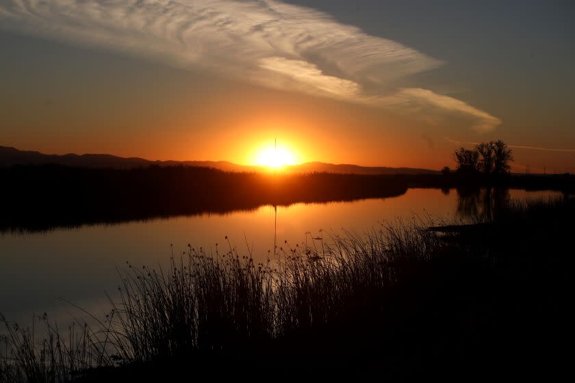 ISLETON, CA - NOVEMBER 29: The San Joaquin River along Brannan Island Road on Tuesday, Nov. 29, 2022 in Isleton, CA. Scenes along the Sacramento Delta. (Gary Coronado / Los Angeles Times)
