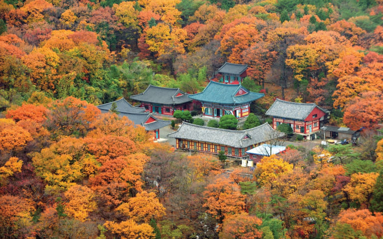 釜山梵魚寺秋景。（圖／韓國觀光公社提供）