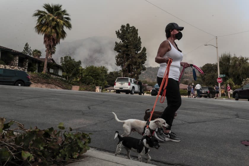 Arcadia, CA, September 13, 2020 - Claudia Alcaino walks her dogs along Highland Oaks Dr. as crews continue to battle the Bobcat Fire smoldering in the nearby Angeles National Forest. (Robert Gauthier/ Los Angeles Times)