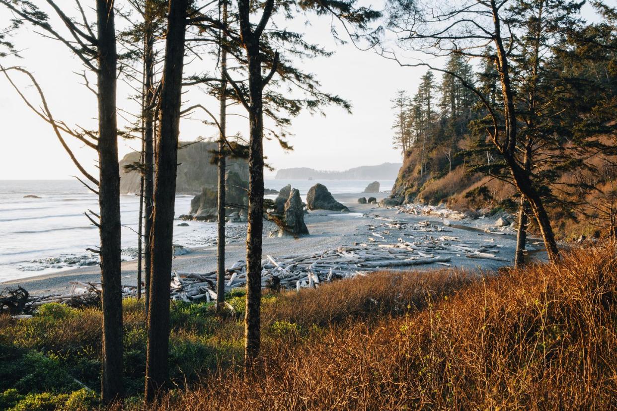 ruby beach at dusk, olympic national park, wa, usa