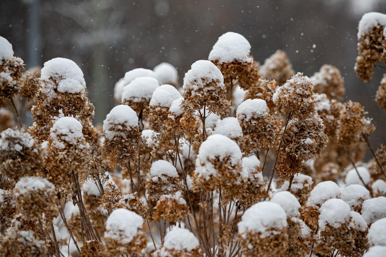 Snow continued to fall in Valley Station on Friday morning after the Louisville area received around 2 inches of snow overnight. Jan. 19, 2024