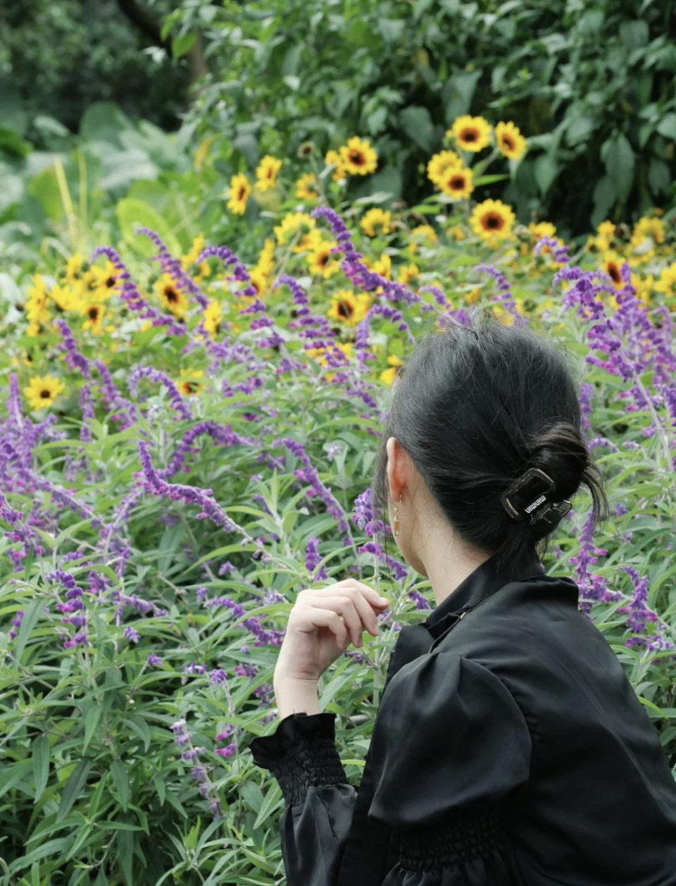 深圳好去處｜福田打卡一日遊！年輕人都去這裏 春遊香蜜公園/民居咖啡街/工業風文青區A Park/水圍夜市掃街