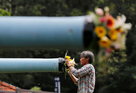 A gardener decorates a cannon at Fort Siloso with flowers as a symbolic gesture of peace ahead of the June 12 summit between U.S. President Donald Trump and North Korean leader Kim Jong Un, on Singapore's resort island of Sentosa, June 9, 2018. REUTERS/Kim Kyung-Hoon