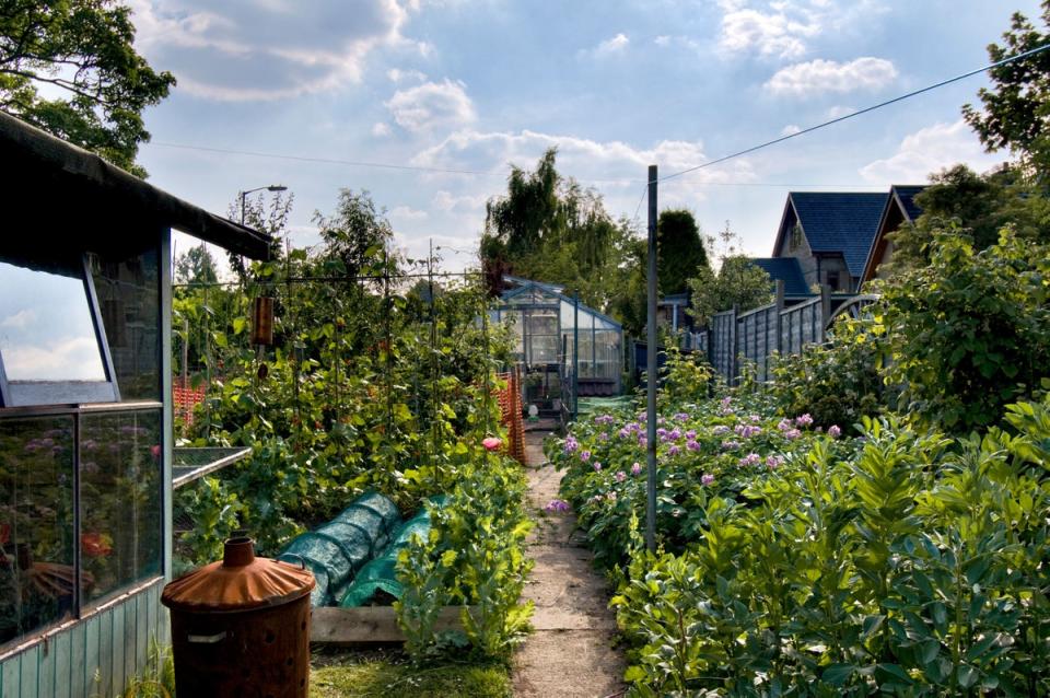 Don’t get too envious of other gardeners on social media (Alamy Stock Photo)