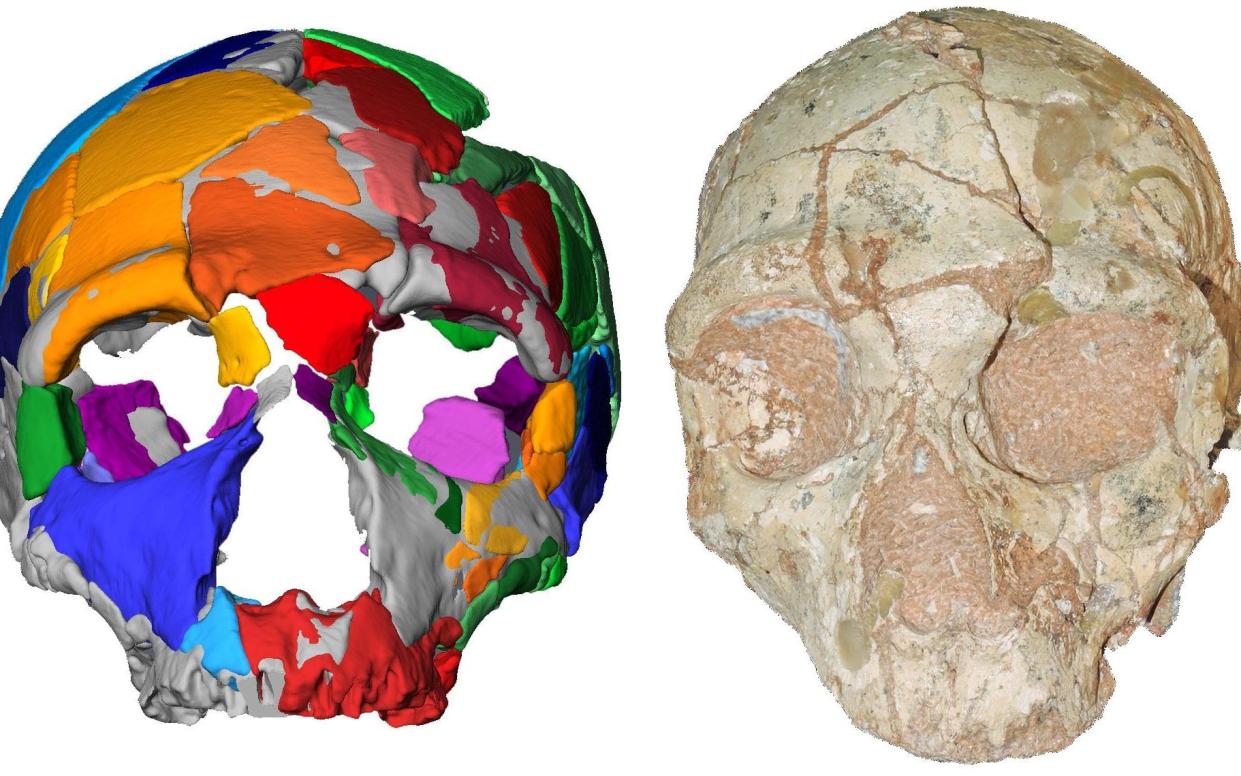 Part of a skull named Apidima 2, discovered in a Greek cave, which was determined in a study to have the characteristics of Neanderthal man - AFP