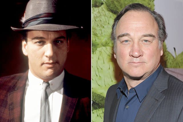 <p>Warner Bros./courtesy Everett Collection; Donato Sardella/Getty</p> Jim Belushi