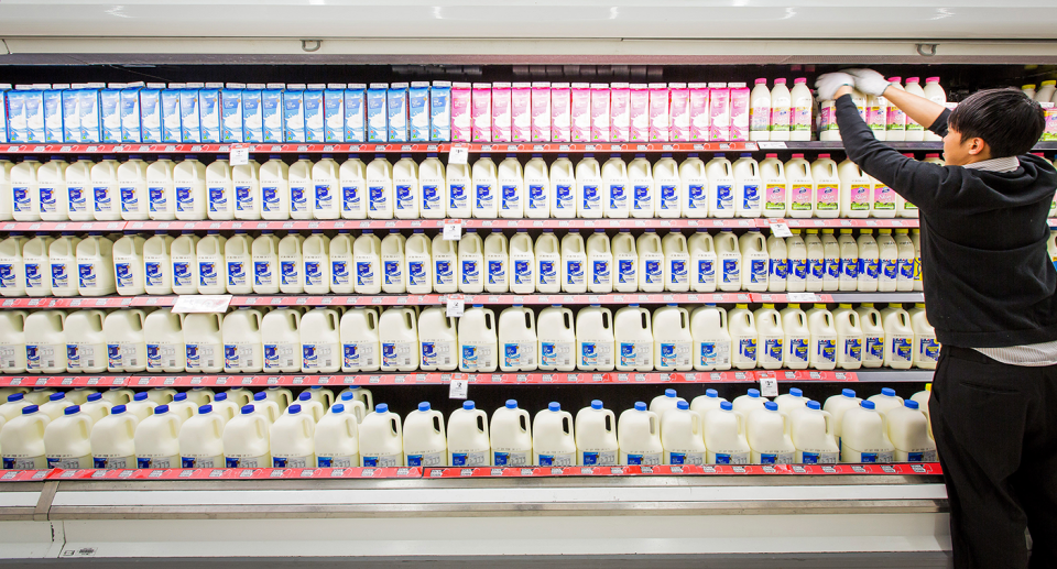 A new milk that's not derived from animals could be on supermarket shelves in just two years. Source: Getty (File)