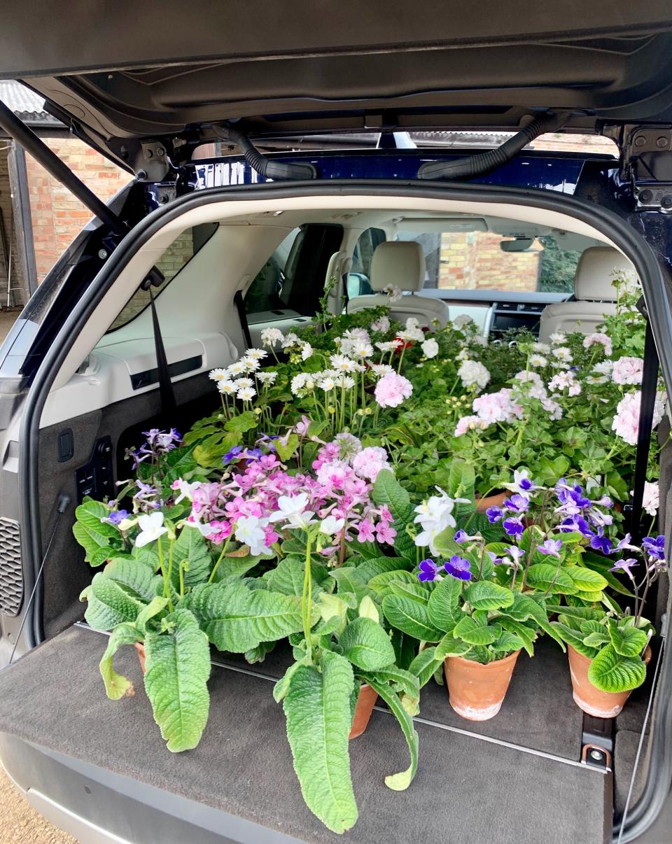 A quick trip to my in-laws’ house to fill my car with plants, all grown from their exquisite greenhouses.