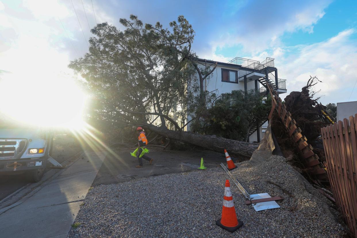 An emergency worker assesses the damage after a large tree was blown into an apartment building during a winter storm in San Diego, California on Wednesday (REUTERS/Mike Blake) (REUTERS)