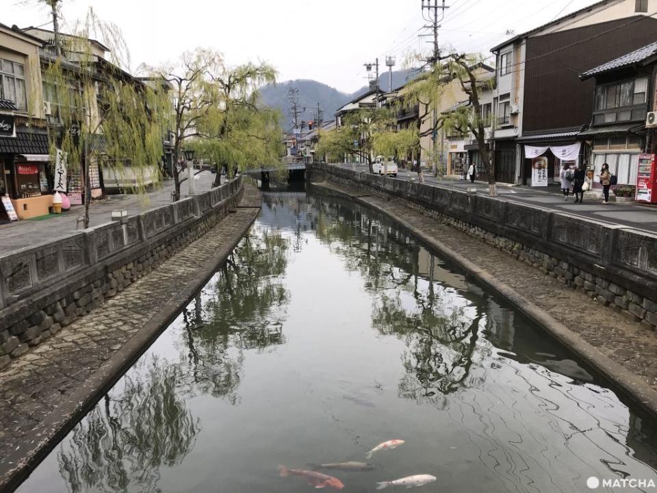 城崎溫泉「蟹」逅但馬牛 兩大必吃美食