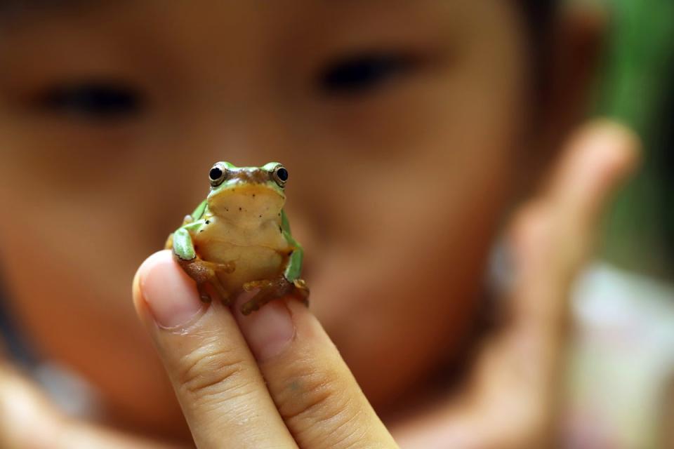  (Getty Images)