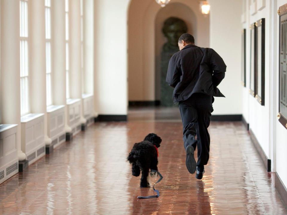 Bo and President Barack Obama run through the Colonnade