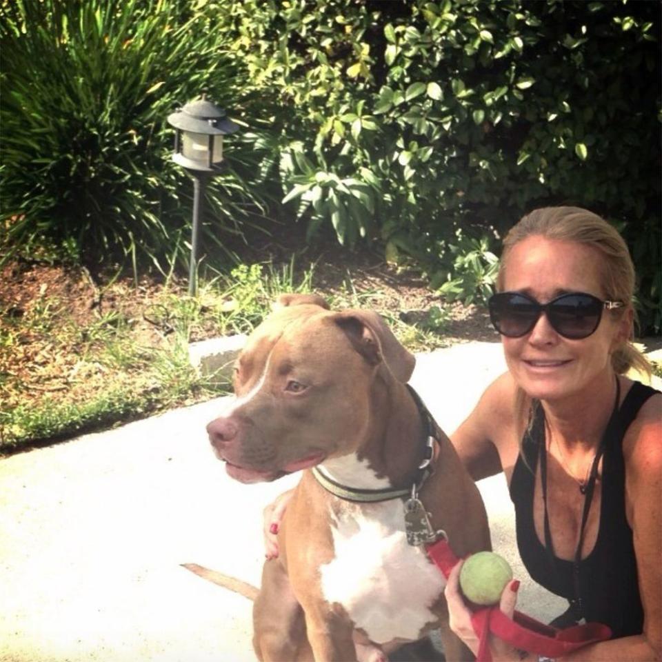 Kim Richards Settles Dog Bite Lawsuit