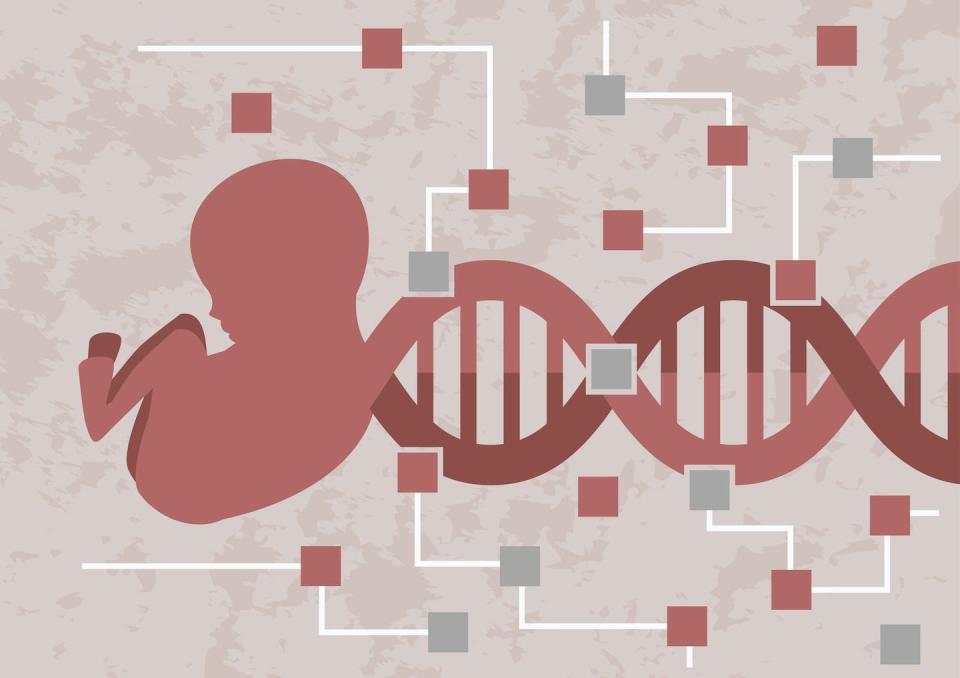 Paternal and maternal genes drive fetal development in different directions. <a href="https://www.gettyimages.com/detail/illustration/hacking-baby-embryo-decoding-the-dna-of-royalty-free-illustration/1125420175" rel="nofollow noopener" target="_blank" data-ylk="slk:Valentina Kruchinina/iStock via Getty Images;elm:context_link;itc:0;sec:content-canvas" class="link ">Valentina Kruchinina/iStock via Getty Images</a>