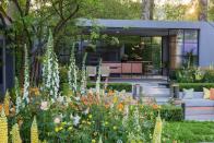 <p>There's an abundance of yellow blooms at Chelsea this year bringing lots of colour and character to gardens.</p><p>'Pale, lemon, sunshine and citrus, yellow flowers of every shape and form graced the gardens of main avenue and beyond,' says Mark Gregory. 'Often shunned, this year yellow seems to have finally been allowed to bask in the limelight with almost every garden featuring at least one yellow plant.'</p>