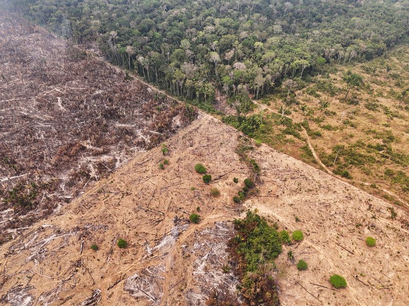 FILE PHOTO: Forest fires in the Amazon