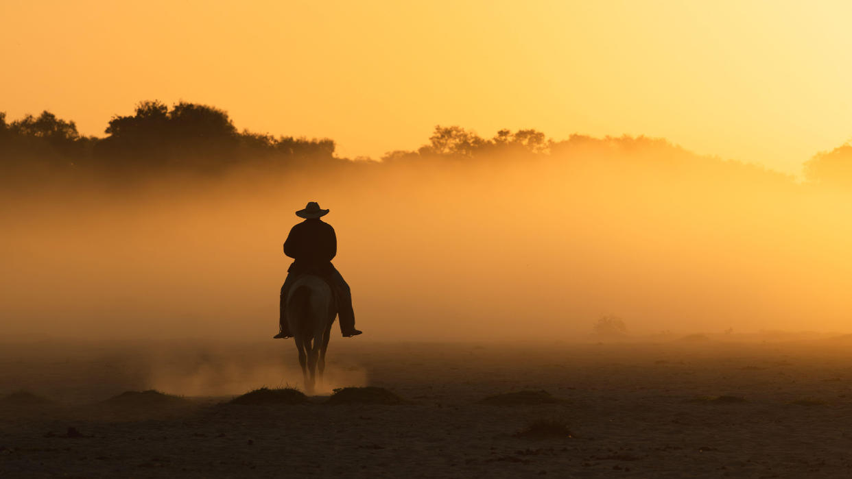  Pantaneiro cowboy herding horses at sunset in North Pantanal, Brazil. 