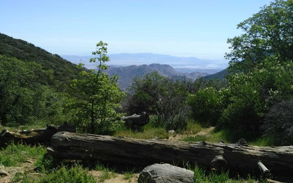 Pacific Crest Trail to Garnet Peak