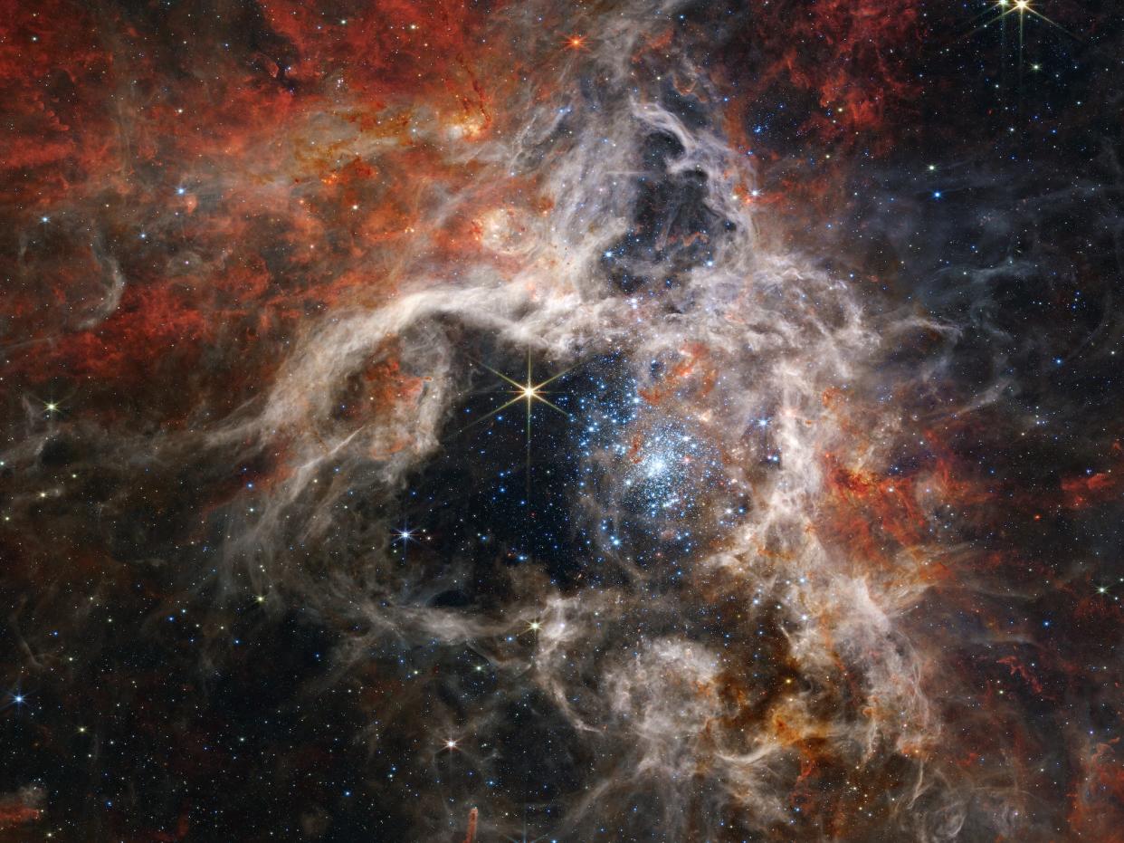 tarantula nebula cosmic dust cloud orange white web with stars