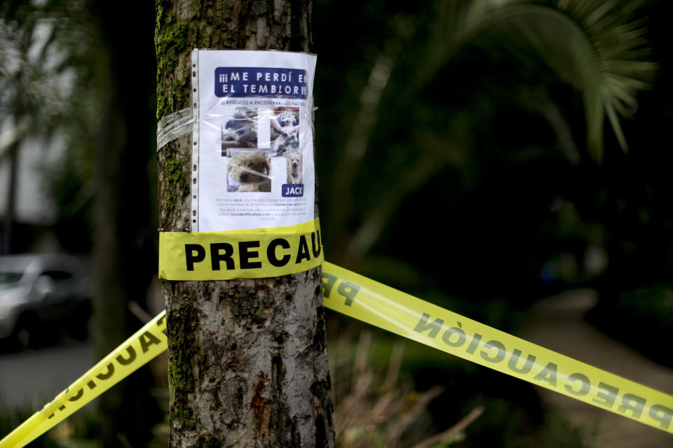 <p>A flyer seeking a missing pet named Jack is posted on a tree, in Mexico City, Friday, Sept. 22, 2017. Jack is a small white dog who lives in Mexico City and has been missing since a magnitude 7.1 earthquake startled both humans and their pets when it struck early Tuesday afternoon. (Photo: Natacha Pisarenko/AP) </p>