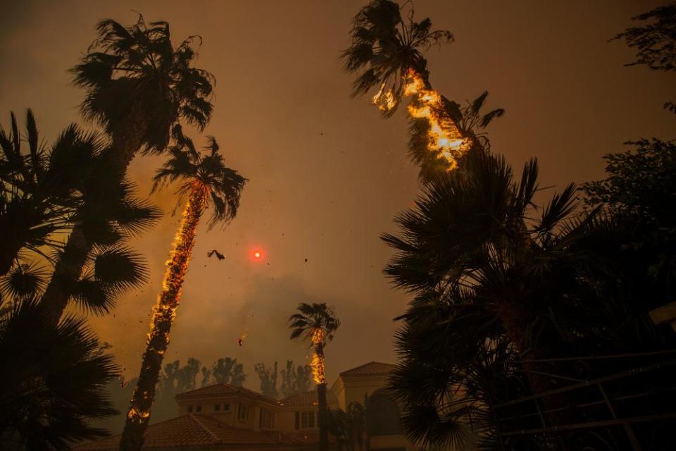 Embers falls from burning palm and the sun is obscured by smoke in Malibu, California, on 9 November.