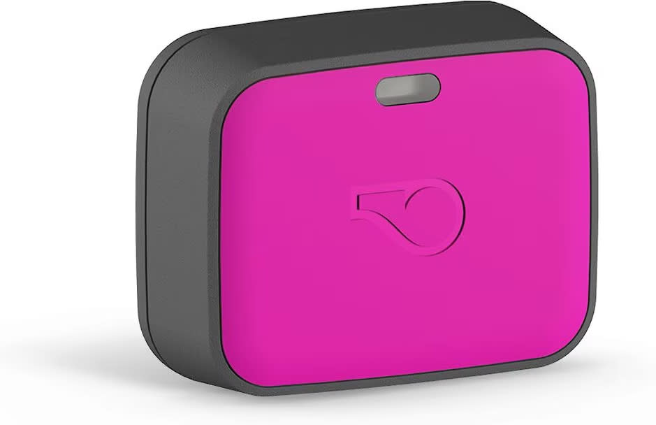 A pink Whistle Go Explore GPS tracking device for dogs