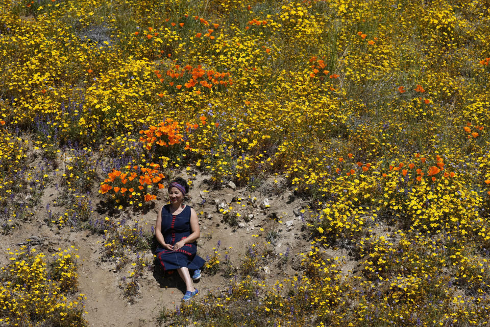 A visitor poses for a photo on a hillside filled with blooming poppies near the Antelope Valley California Poppy Reserve, Monday, April 10, 2023, in Lancaster, Calif. (AP Photo/Marcio Jose Sanchez)