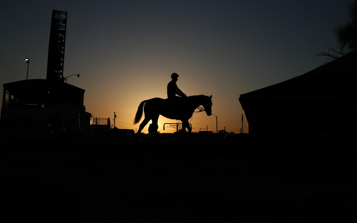 LOUISVILLE, KENTUCKY - MAY 02:  A horse walks back to the barn area during the morning training for the Kentucky Derby at Churchill Downs on May 02, 2022 in Louisville, Kentucky. (Photo by Andy Lyons/Getty Images)