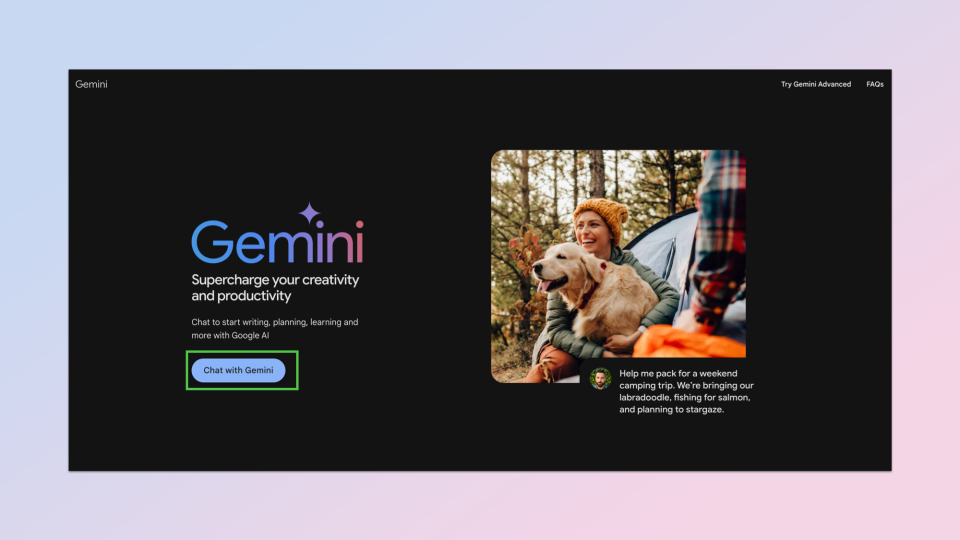 Google Gemini