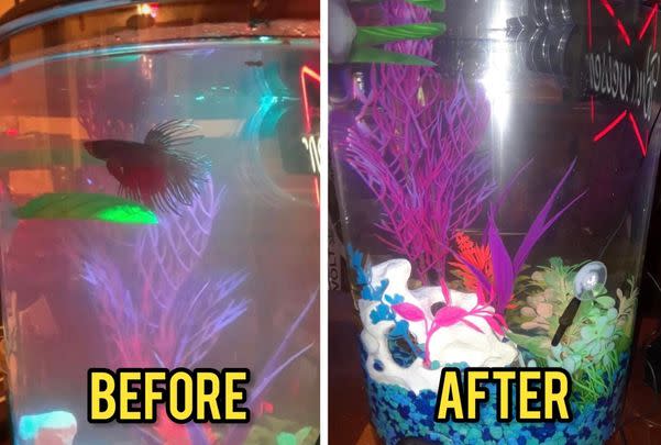 A concentrated marine conditioner for your fish tank