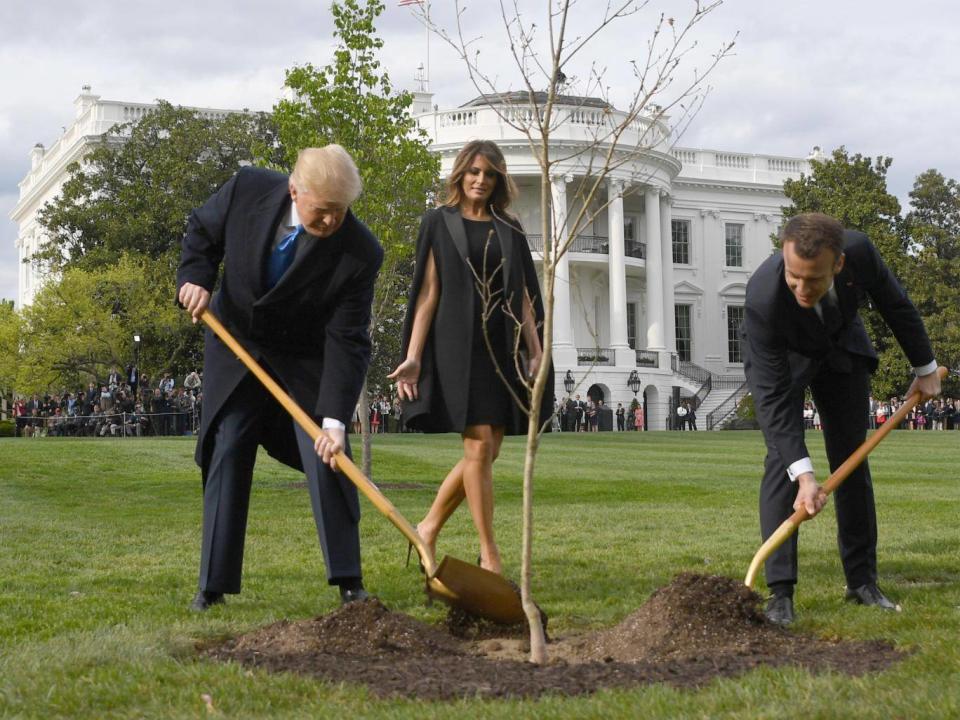 Donald Trump and Emmanuel Macron plant an oak tree watched by the US first lady, Melania Trump (Jim Watson/AFP/Getty)