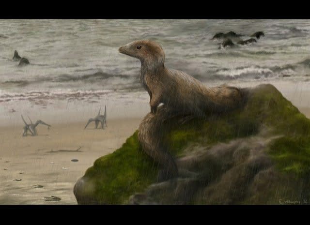 A baby megalosauroid Sciurumimus is perched on a rock by the Bavarian Sea in Germany.