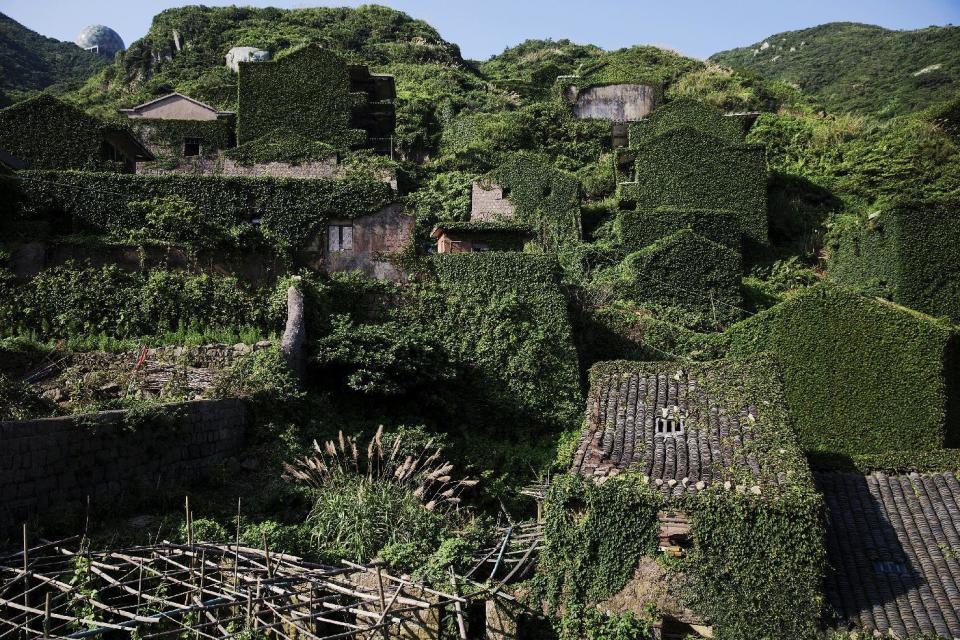 Wider Image: Creeping Vines, Abandoned Village