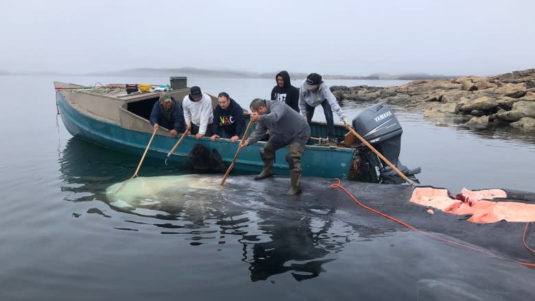 'The adrenaline is still going:' Excitement lingers after Iqaluit bowhead hunt