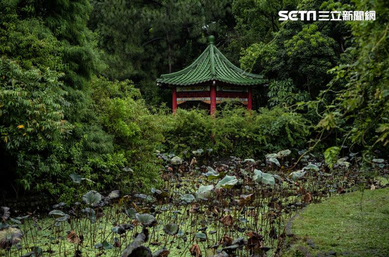 伍佰《台北的顏色》台北植物園（圖／徠卡相機提供）