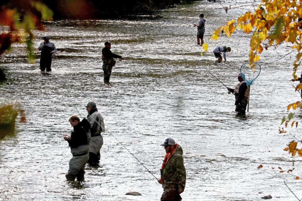 Fisherman in pursuit of King salmon and coho were out in force on the Milwaukee River in and around Kletzsch Park in Glendale in October 2020.