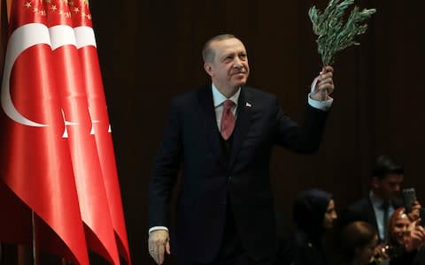 Turkey's President Recep Tayyip Erdogan, holding an olive branch arrives to deliver a speech at an event in Ankara, Turkey,  - Credit: AP