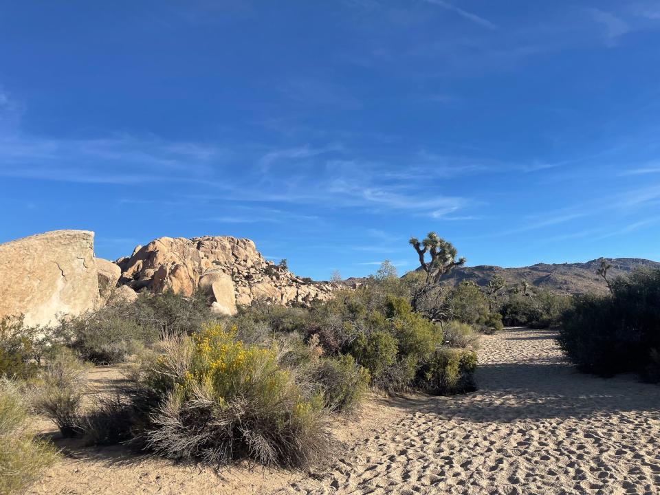 Part of the Wall Street Mine site in Joshua Tree National Park, California.