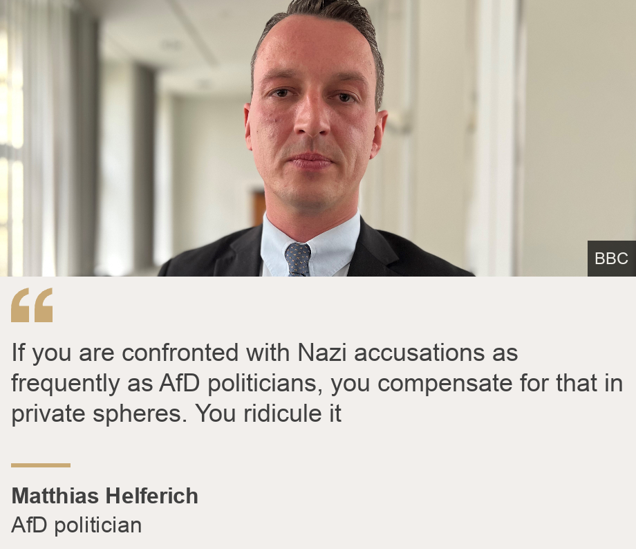 "If you are confronted with Nazi accusations as frequently as AfD politicians, you compensate for that in private spheres. You ridicule it", Source: Matthias Helferich, Source description: AfD politician, Image: Matthias Helferich