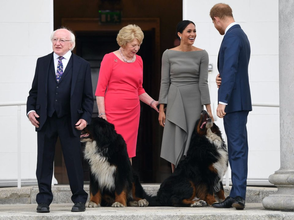 Ireland dogs meghan markle