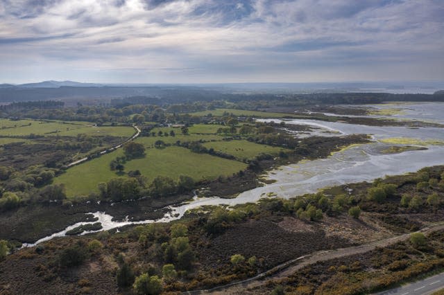 Die Purbeck Heaths in Dorset 