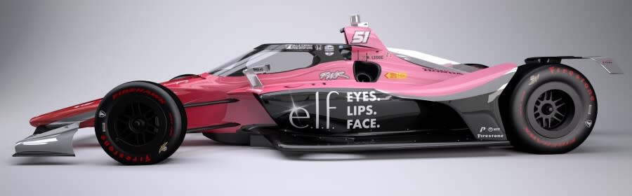 Legge Indy 500 livery 2024.jpg