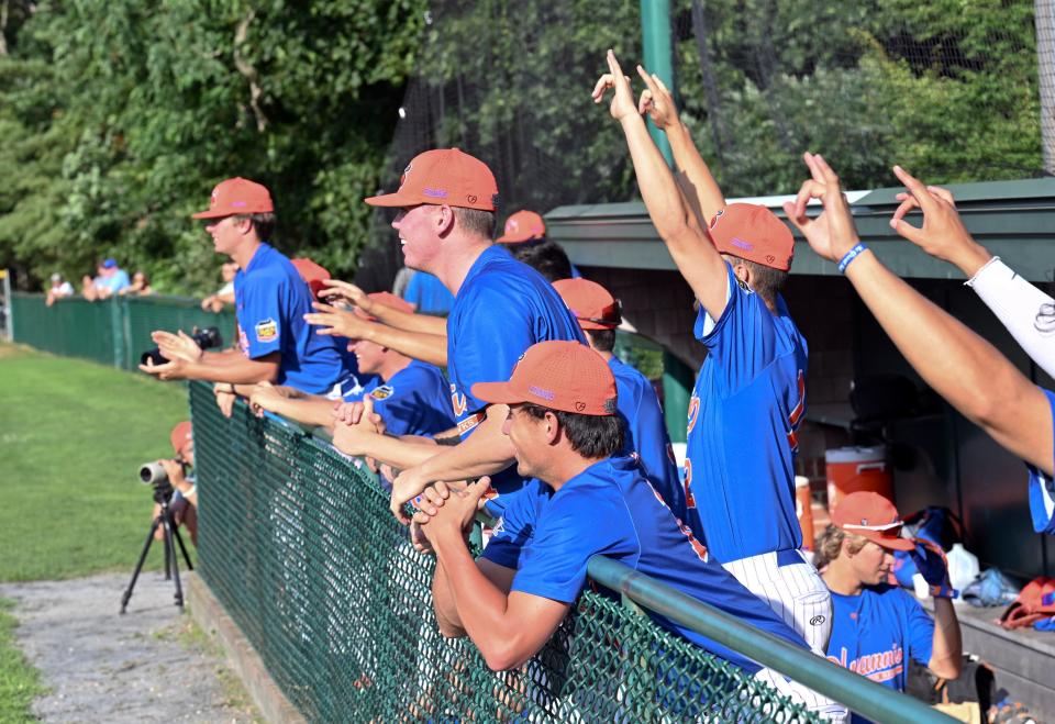 COTUIT  7/27/22  Hyannis dugout responds to a double by Rikuu Nishida against Cotuit .