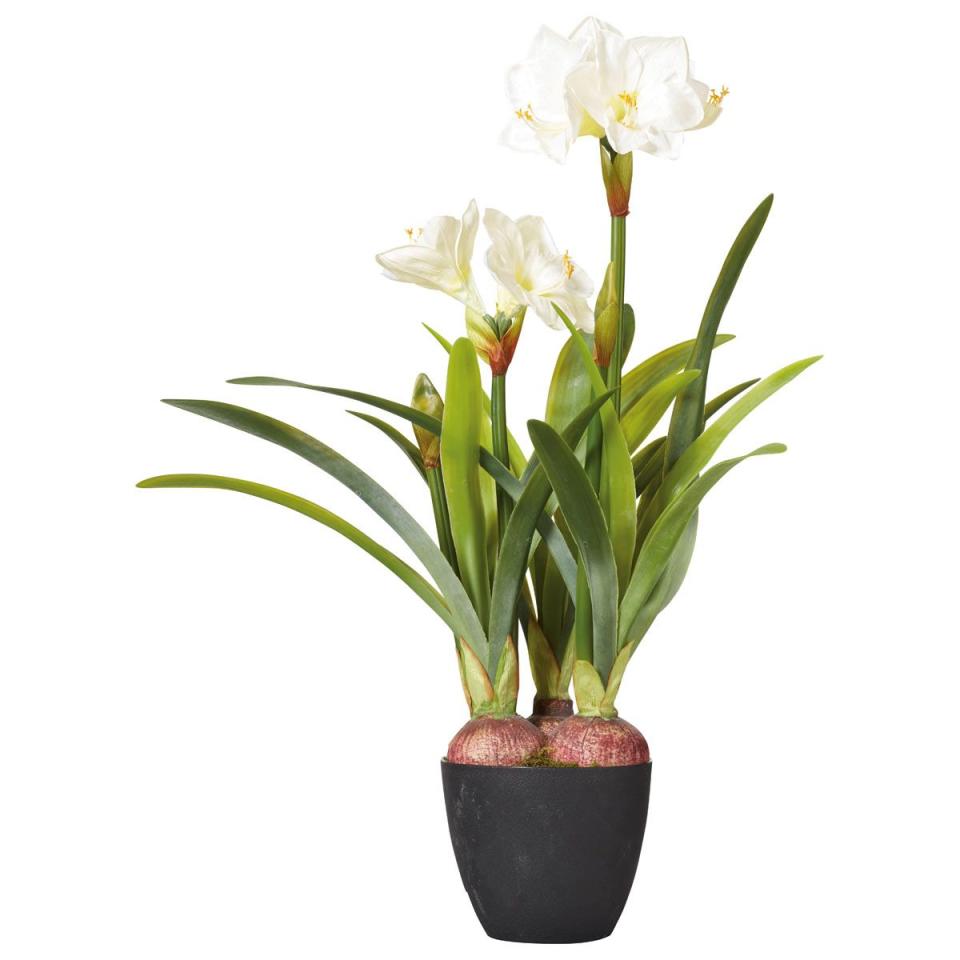 Faux Potted Amaryllis Plant - White